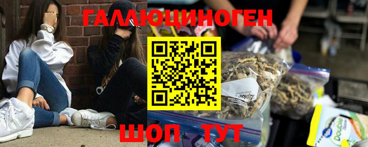 Псилоцибиновые грибы Psilocybe  Вход с VPN  Воркута 