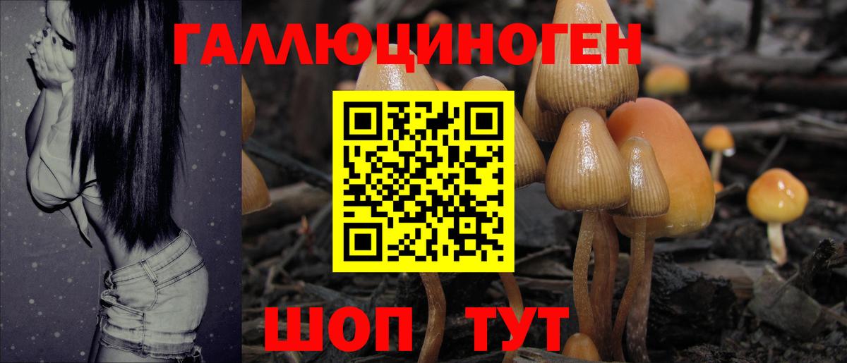 Галлюциногенные грибы ЛСД Воркута